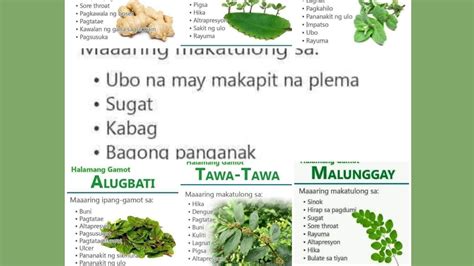 ᐅ HALAMABISA ᐅ Halamang Gamot Pamparegla: .